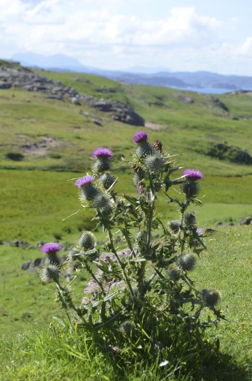 Highland Holiday House Villa Durness Exterior foto